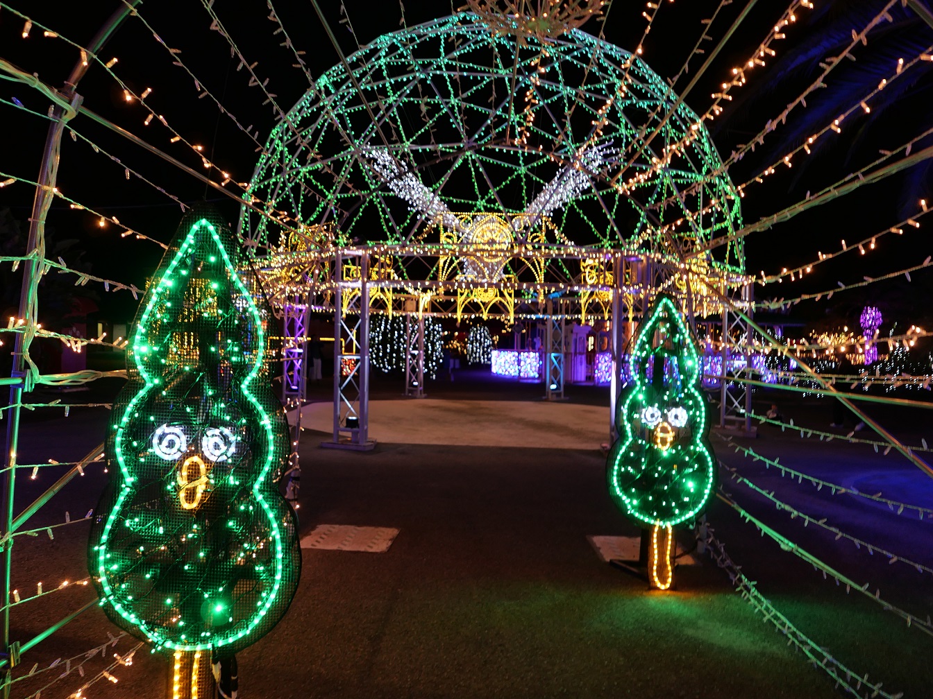 【わかやまぶらぶら】今年も撮りどころ満載！『フェスタ・ルーチェ』／和歌山市