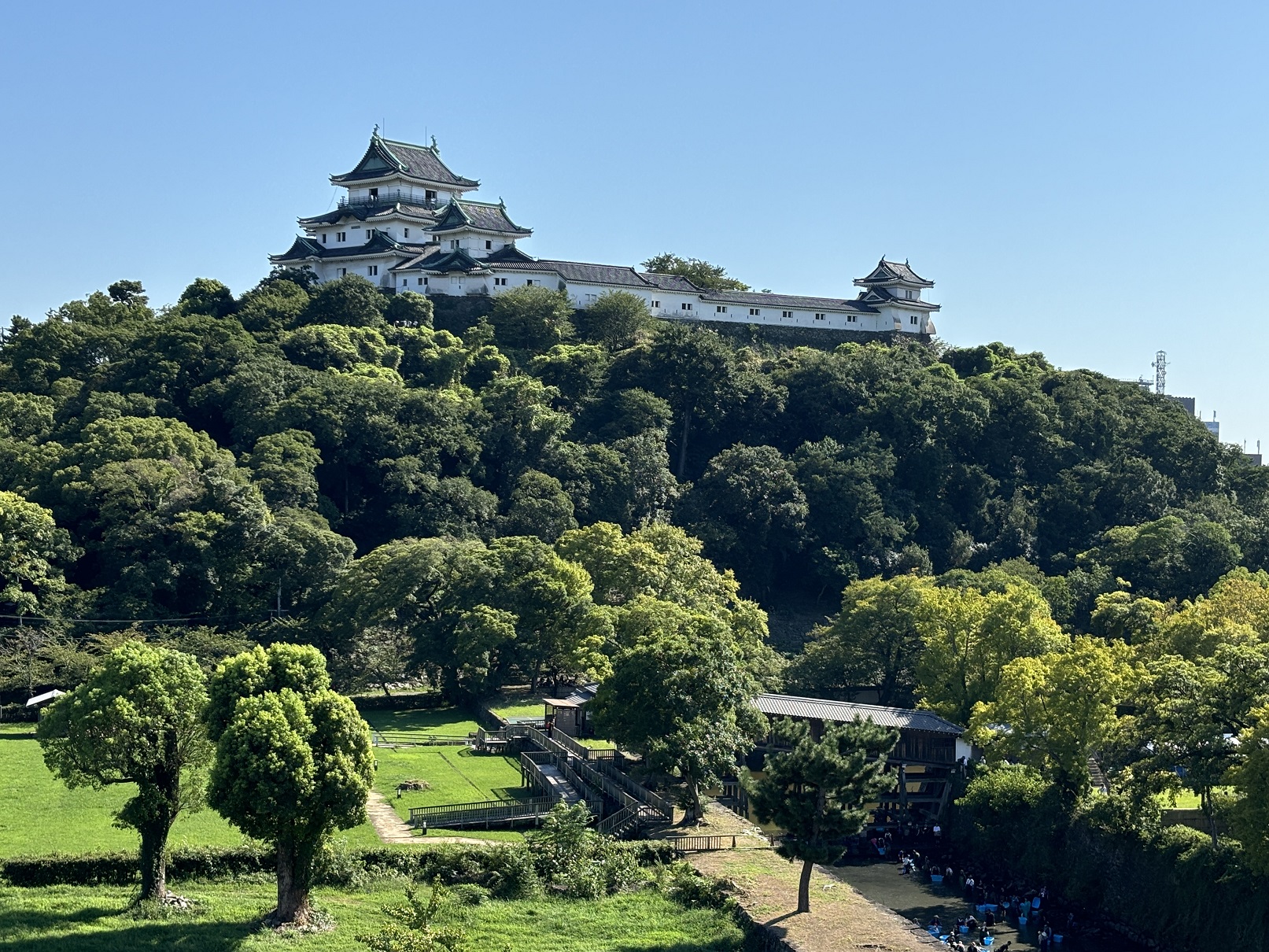 【わかやまぶらぶら】意外と知らない？　和歌山城の石垣の刻印に注目！